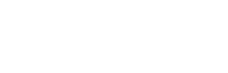 Snazzy Merchandising